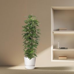 Monstera Monkey Leaf gaasrek - 180 cm - ø27 (8721055691105)