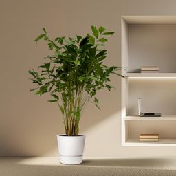 Caryota Mitis - 250 cm - Ø32cm (8721081685482)