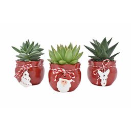 Succulent in Santa's Crew Ceramics - 3 stuks (25803)