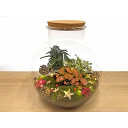 Bolder Bob Bonsai Christmas - DIY (23488)