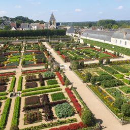 Buxus Haag - BetterBuxus Babylon Beauty - Resistant tegen de Buxus schimmel - 12 planten - 2 strekkende meter - pot 13cm hoogte 30-35 (8720862103559)