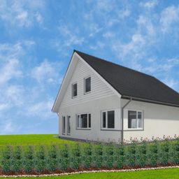 Plants by frank Grote Glansmispel planten voor 10 strekkende meter haag | - 12L - 20x | ↨ 125-150 cm - Carré Rouge (8721001420964)