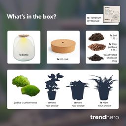 Planten terrarium - Emma - DIY kit - Ø 23 cm - Hedera White (52493)
