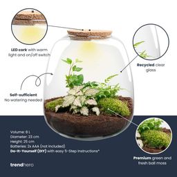 Planten terrarium - Emma - DIY kit - Ø 23 cm - Hedera White (52493)