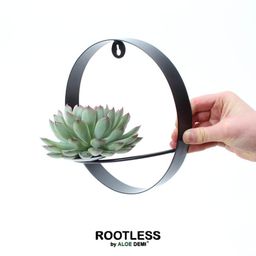 Rootless by aloe demi ROOTLESS Succulent Echeveria Pulidonis op Muurdeco standaard zwart Ø20 cm (8721001420087)