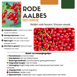 Premium basics "Vruchten oase" BIO Fruitplanten mix set van 5 verschillende soorten (48362)