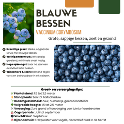 Premium basics "Vruchten oase" BIO Fruitplanten mix set van 5 verschillende soorten (48362)