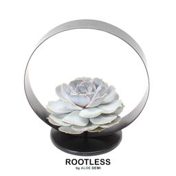 Rootless by aloe demi ROOTLESS Succulent Echeveria Lilacina op Deco tafelstandaard Ø20 cm (8721001420254)