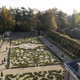 Buxus Haag - BetterBuxus Babylon Beauty - Resistant tegen de Buxus Schimmel - 14 planten - 2 strekkende meter - pot 10,5cm hoogte 25-30 (8720862103542)