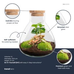DIY terrarium - Sammie Coffea Red - Ø 22,5 cm ↑ 27 cm - Rake + Shovel + Tweezer (8720872020389)