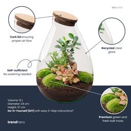 DIY Planten terrarium - Drop XL Bonsai 'red' - Ø 24 cm ↑ 37 cm - Rake + Shovel + Tweezer + Scissors (8720726958813)