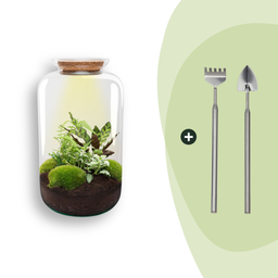 DIY Planten terrarium met licht - Sven XL Botanical - Ø 23 cm ↑ 43 cm - Rake + Shovel (8720872020488)