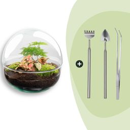 DIY Planten terrarium tweedelig bolglas - Dome Red - Ø 20 cm ↑ 20 cm - Rake + Shovel + Tweezer (8720726958776)
