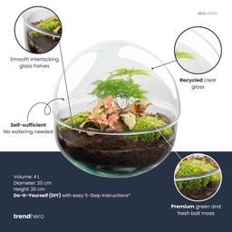 DIY Planten terrarium tweedelig bolglas - Dome Red - Ø 20 cm ↑ 20 cm - Rake + Shovel + Tweezer (8720726958776)