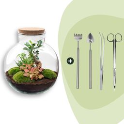 DIY Planten terrarium - Bolder Bob Bonsai - Ø 31 cm ↑ 30 cm - Rake + Shovel + Tweezer + Scissors (8720726958516)