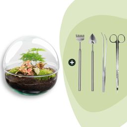 DIY Planten terrarium tweedelig bolglas - Dome Red - Ø 20 cm ↑ 20 cm - Rake + Shovel + Tweezer + Scissors (8720726958783)