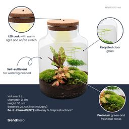 DIY Planten terrarium met licht - Milky - Ø 21 cm ↑ 30 cm - Rake + Shovel + Tweezer + Scissors (8720726958158)