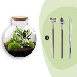 DIY Planten terrarium (met verlichting) - Bolder Bob - Ø 31 cm ↑ 30 cm - Rake + Shovel + Tweezer (8720726958462)