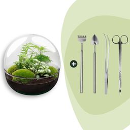 DIY Planten terrarium tweedelig bolglas - Dome XL -Ø 28 cm ↑ 28 cm - Rake + Shovel + Tweezer + Scissors (8720726958882)