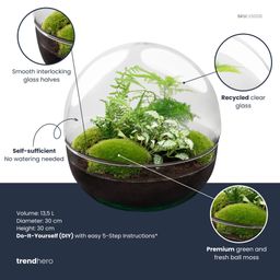 DIY Planten terrarium tweedelig bolglas - Dome XL -Ø 28 cm ↑ 28 cm - Rake + Shovel + Tweezer + Scissors (8720726958882)