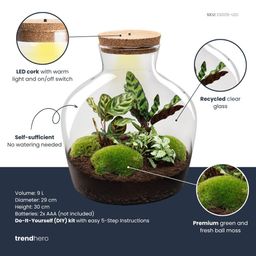 DIY Planten terrarium met licht - Fat Joe - Ø 29 cm ↑ 30 cm - Rake + Shovel + Tweezer (8720726958530)