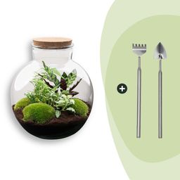 DIY Planten terrarium (met verlichting) - Bolder Bob - Ø 31 cm ↑ 30 cm - Rake + Shovel (8720726958455)