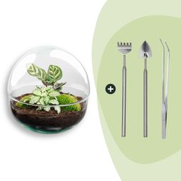 DIY Planten terrarium tweedelig bolglas - Dome - Ø 20 cm ↑ 20 cm - Rake + Shovel + Tweezer (8720726958738)