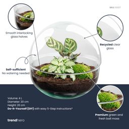 DIY Planten terrarium tweedelig bolglas - Dome - Ø 20 cm ↑ 20 cm - Rake + Shovel + Tweezer (8720726958738)