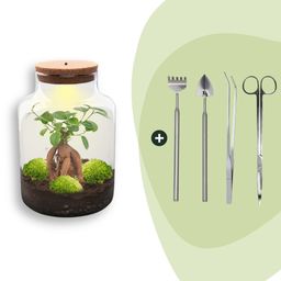 DIY Planten terrarium met licht - Milky Bonsai - Ø 21 cm ↑ 30 cm - Rake + Shovel + Tweezer + Scissors (8720726958189)