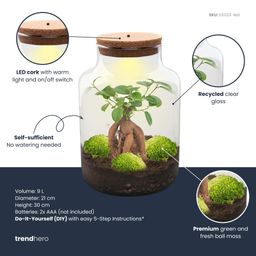 DIY Planten terrarium met licht - Milky Bonsai - Ø 21 cm ↑ 30 cm - Rake + Shovel + Tweezer (8720726958172)