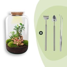 DIY terrarium - Sven XL Bonsai - Met verlichting - Rake + Shovel + Tweezer (8720872020020)