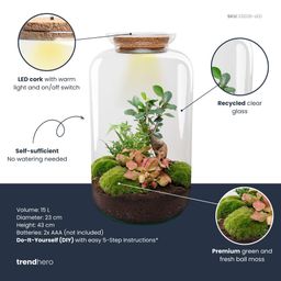DIY terrarium - Sven XL Bonsai - Met verlichting - Rake + Shovel + Tweezer (8720872020020)