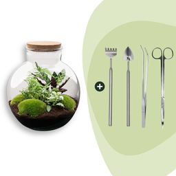 DIY Planten terrarium (met verlichting) - Bolder Bob - Ø 31 cm ↑ 30 cm - Rake + Shovel + Tweezer + Scissors (8720726958479)