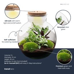 DIY Planten terrarium (met verlichting) - Bolder Bob - Ø 31 cm ↑ 30 cm - Rake + Shovel + Tweezer + Scissors (8720726958479)