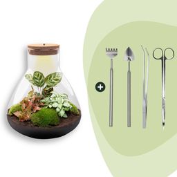 DIY Planten terrarium met licht - Sam XL Red - Ø 30 cm ↑ 32 cm - Rake + Shovel + Tweezer + Scissors (8720726958127)