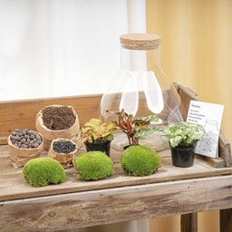 DIY Planten terrarium met licht - Sam XL Red - Ø 30 cm ↑ 32 cm - Rake + Shovel + Tweezer + Scissors (8720726958127)