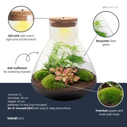 DIY Planten terrarium met licht - Sam XL Red - Ø 30 cm ↑ 32 cm - Rake + Shovel + Tweezer + Scissors (8720726958127)