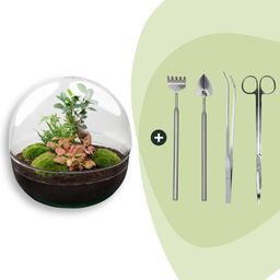 DIY Planten terrarium tweedelig bolglas - Dome XL Bonsai - Ø 28 cm ↑ 28 cm - Rake + Shovel + Tweezer + Scissors (8720726958912)