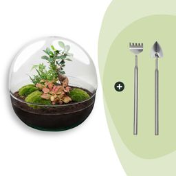 DIY Planten terrarium tweedelig bolglas - Dome XL Bonsai - Ø 28 cm ↑ 28 cm - Rake + Shovel (8720726958899)