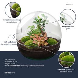DIY Planten terrarium tweedelig bolglas - Dome XL Bonsai - Ø 28 cm ↑ 28 cm - Rake + Shovel (8720726958899)