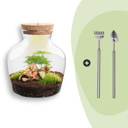 DIY terrarium - Little Joe met licht - ↕ 21,5 cm - Rake + Shovel (8720872020075)