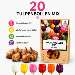 Kh bloembollen Tulpenbollen Mix - 20 Stuks - Winterhard - Maat 11/12 (08720256864578)