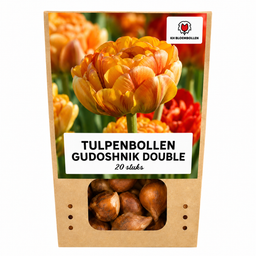Tulpenbollen Gudoshnik Double – 20 Stuks | KH Bloembollen® | Geel, Oranje & Rode Dubbelbloemige Tulp – Pioenachtig & Kleurrijk – Voor Tuin of  (51158)