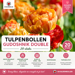 Tulpenbollen Gudoshnik Double – 20 Stuks | KH Bloembollen® | Geel, Oranje & Rode Dubbelbloemige Tulp – Pioenachtig & Kleurrijk – Voor Tuin of  (51158)