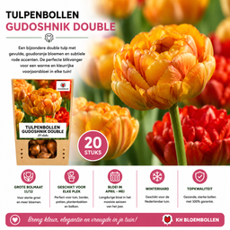 Tulpenbollen Gudoshnik Double – 20 Stuks | KH Bloembollen® | Geel, Oranje & Rode Dubbelbloemige Tulp – Pioenachtig & Kleurrijk – Voor Tuin of  (51158)