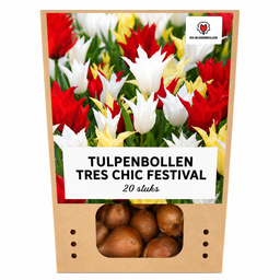 Tulpenbollen Tres Chic Mix – 20 Stuks | KH Bloembollen® | Rood, Geel & Witte Tulpen – Stijlvol, Fris & Kleurrijk – Voor Tuin of Pot – Maat 1 (51178)