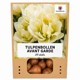 Tulpenbollen Avant Garde – 20 Stuks | KH Bloembollen® | Gele Dubbelbloemige Tulp – Uniek, Vol & Elegant – Voor Tuin of Pot – Maat 11/12 –  (51150)
