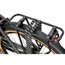 SPARTA C-Grid Energy 2026 Dames Titan Grey Gloss 61cm 2026 (8713568499729)