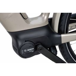 BATAVUS Finez E-Go Power N8 Lage instap Champagne Goud 53cm 2024 (8713568497039)