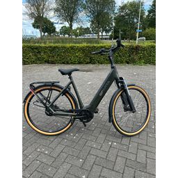 Sparta D-rule Lage instap Groen 57cm 2024 (F.16444)